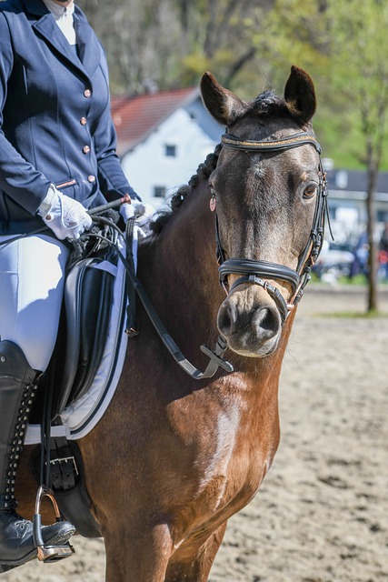 亚足联官方：成都蓉城因在亚冠单场5人染黄被罚款2500美元