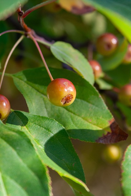 体育总局：无正当理由拒绝国家队征召的运动员等实施行业惩戒