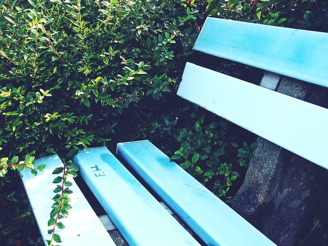 NBL第11轮看点：卫冕冠军老鹰急需反弹，墨尔本联争5连胜